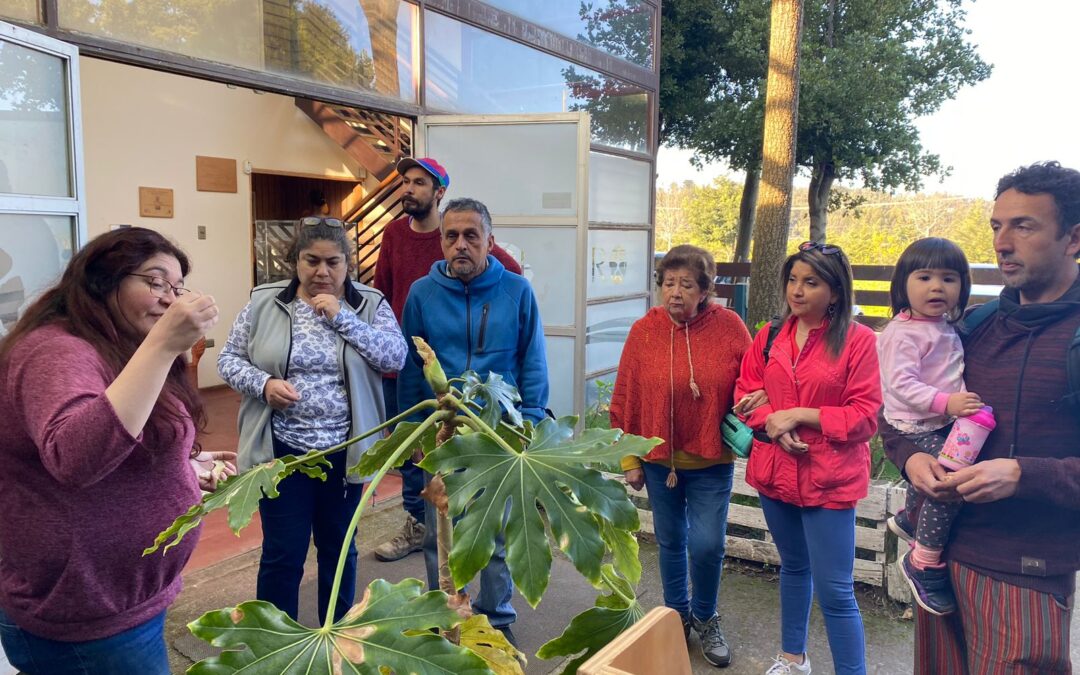 SEGUNDA CASA ABIERTA CONECTÓ A LA COMUNIDAD DEL BIOBÍO CON LOS OFICIOS TRADICIONALES Y LAS ARTES DE LA NATURALEZA