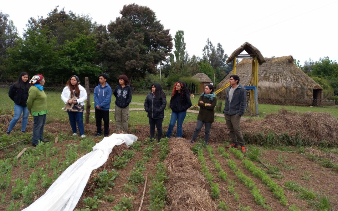 COMPARTIENDO SABERES ENTRE MAESTRAS DE OFICIO Y ESTUDIANTES MAPUCHE DE LA UFRO
