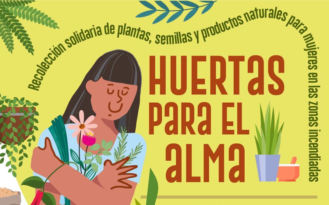 Aunando esfuerzos para la  segunda campaña de recolección solidaria “Huertas para el Alma” en la Región del Biobío