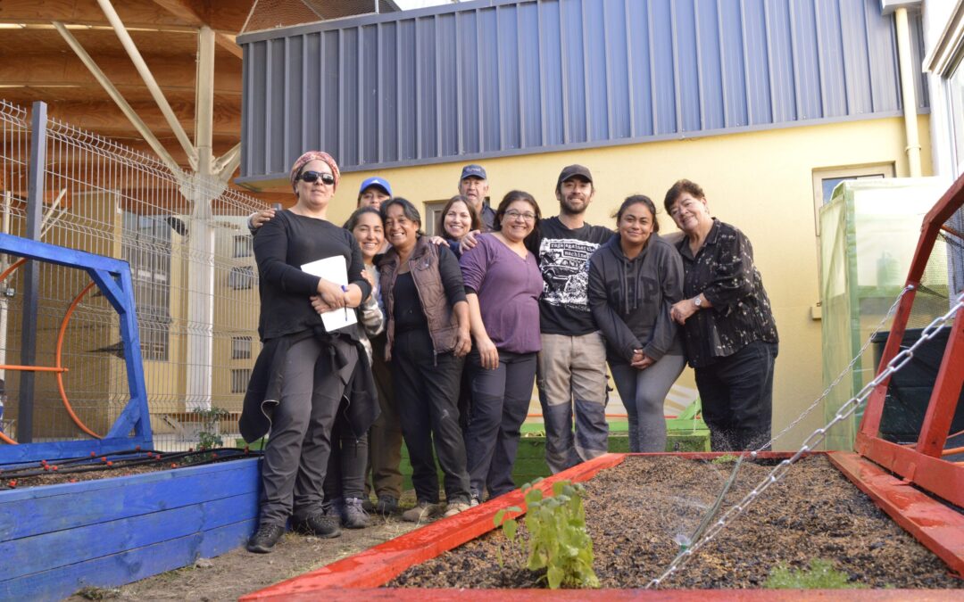 “Vamos huerteando en comunidad”: proyecto que apuesta por un aprendizaje integral en jardines infantiles, escuelas y organizaciones
