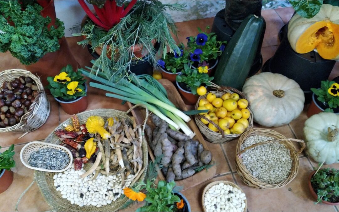 Restauración de la biodiversidad de los territorios