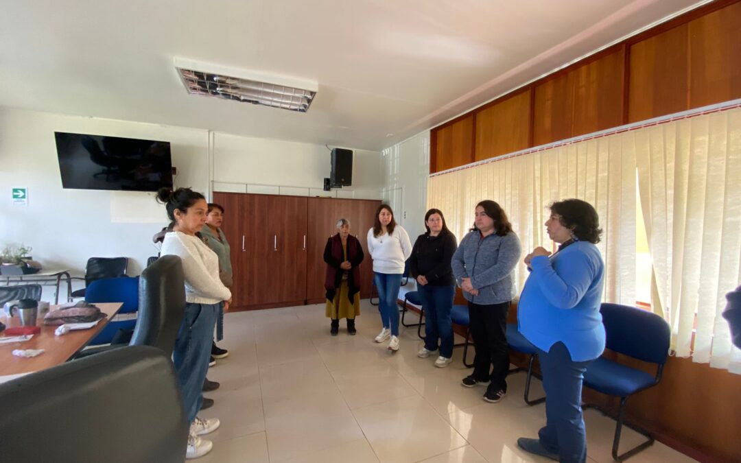 Nos reunimos con la Mesa de Mujeres Rurales de Pitrufquén en el marco del Día Internacional de las Mujeres Rurales