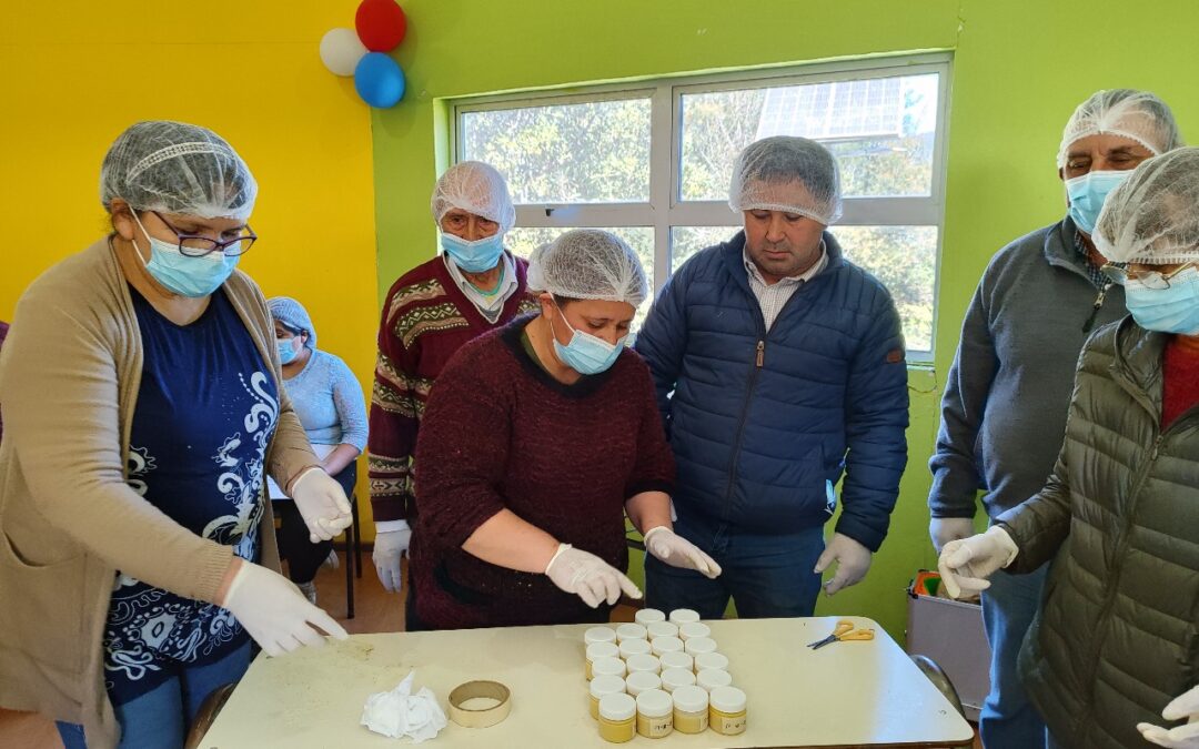 Participamos del curso “Abejas” en Lumaco