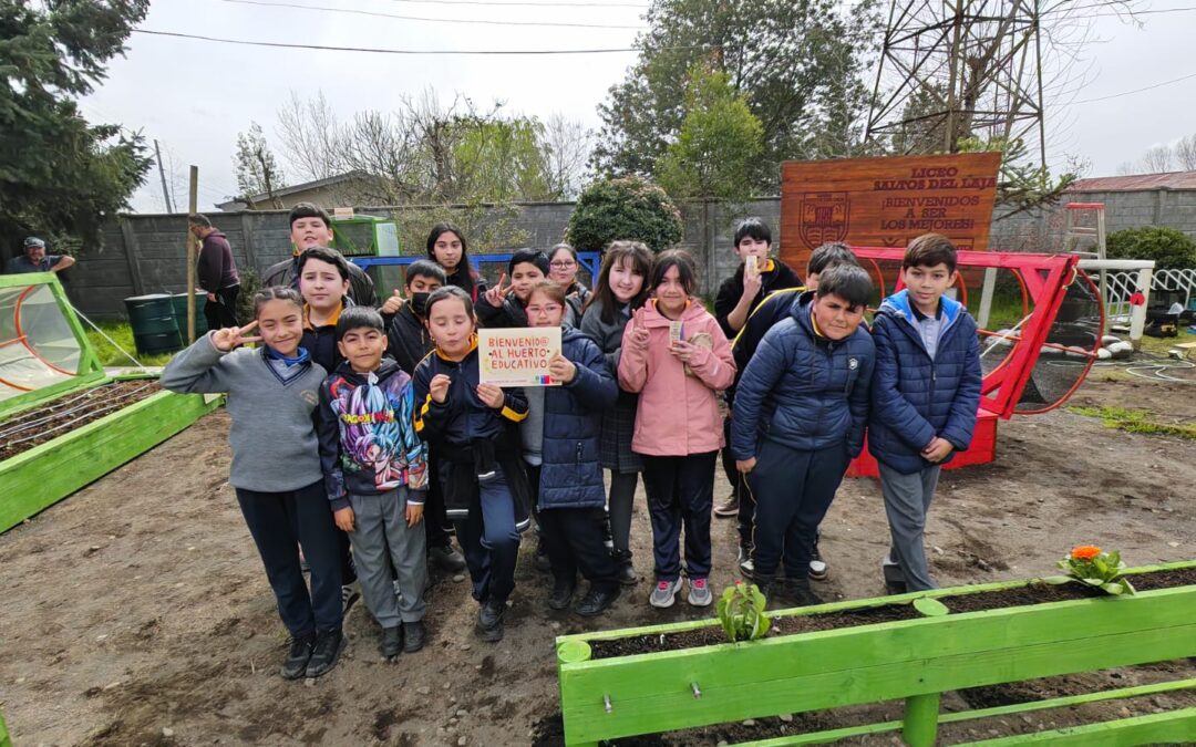 “Vamos Huerteando en Comunidad”: Cerrando un año de aportes y aprendizajes en torno a las huertas educativas