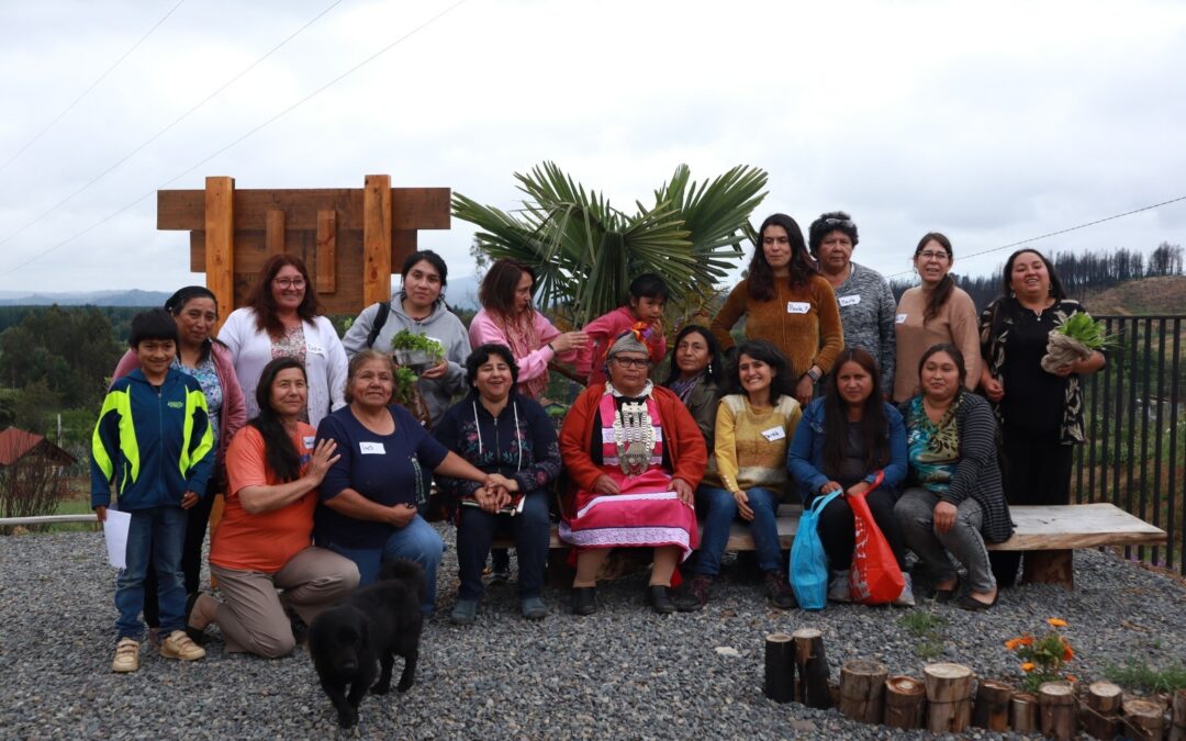“Memorias del Agua. El arte de crear vida”: Primeras aproximaciones investigativas con comunidades de huerteras y merkeneras de Lumaco y Santa Juana