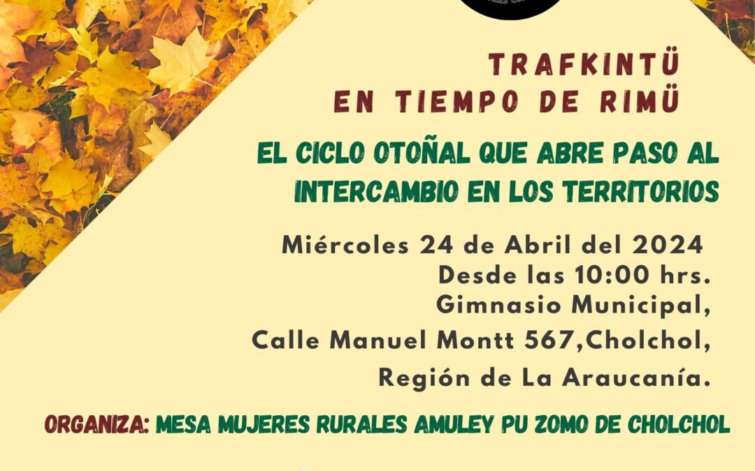 Trafkintü en Tiempos de Rimü: Encuentro de Mujeres Rurales en Cholchol