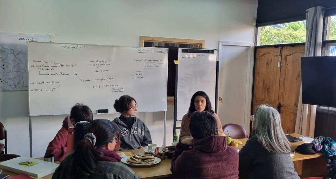 CETSUR se reúne con estudiantes de Licenciatura en Artes de la Universidad de Concepción en Mediación en torno a las Artes Tradicionales