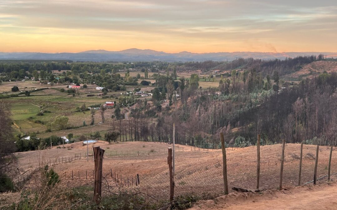 PROYECTO TRES: TERRITORIOS, RESTAURACIÓN Y SOSTENIBILIDAD.