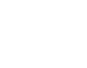 ONG CETSUR